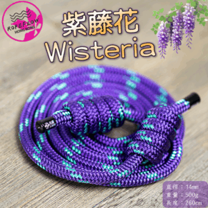 Wisteria 紫藤花 / 500g